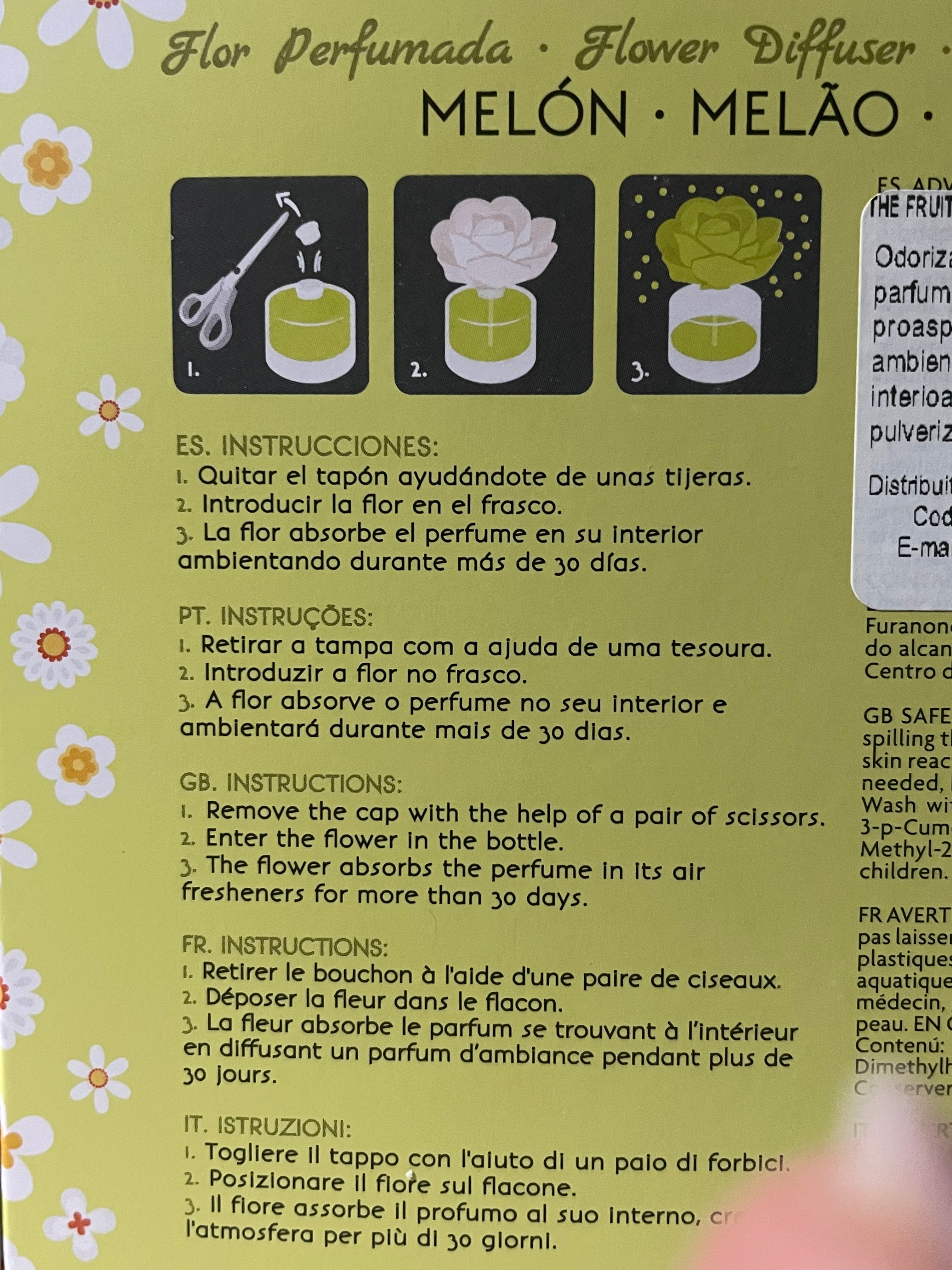 Odorizant camera - The Fruit Company - Melon